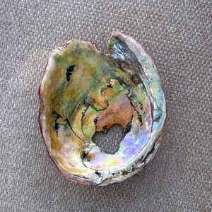 Iridescent Abalone Shell Art Piece